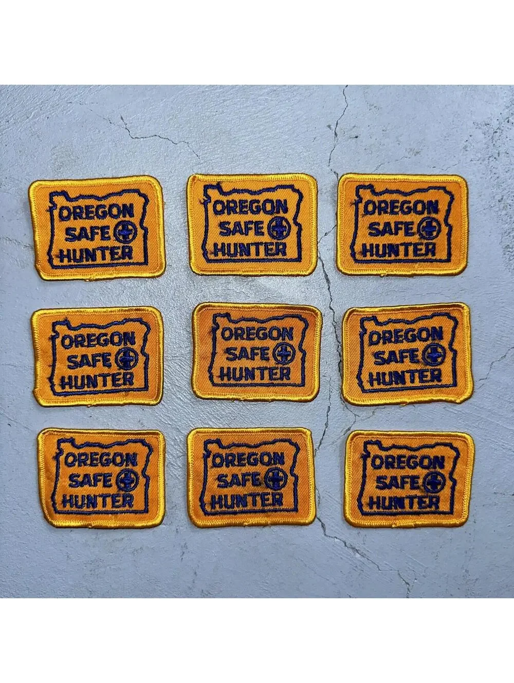 OREGON SAFE HUNTER Patch Badge VTG Insignia 1960s Hunting Qualification Rare Lot